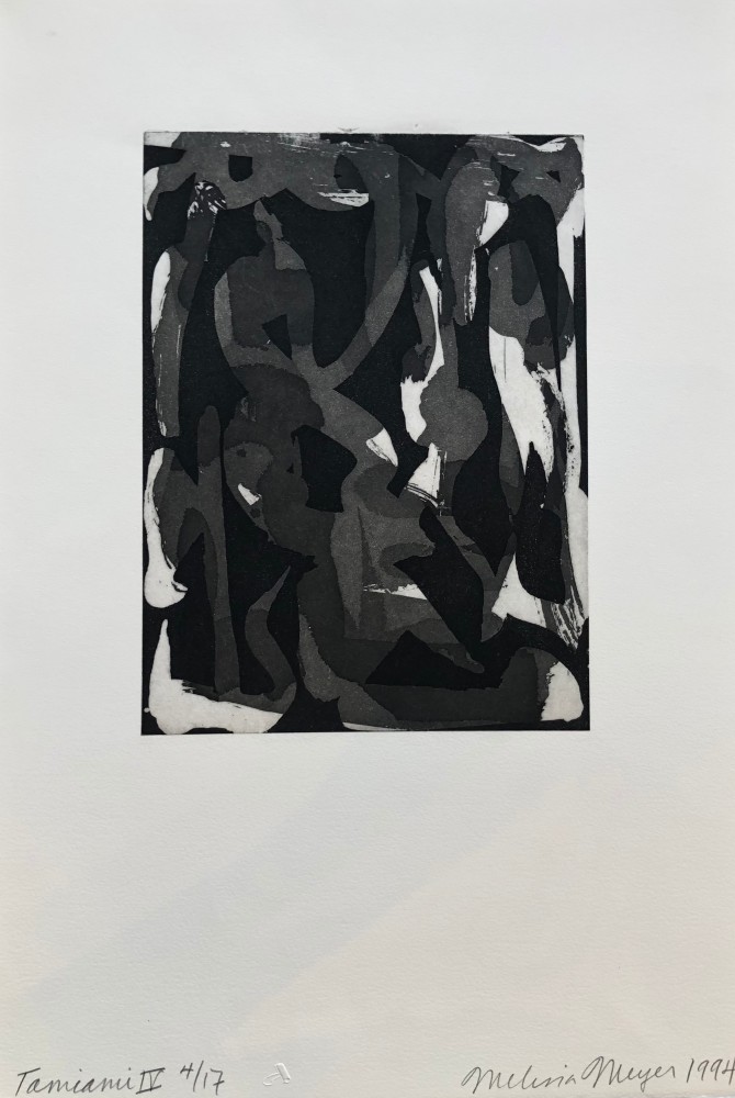 Sarasota Etchings-Tamiami IV, 1994

Etching on Paper, 22.63h x 15.63w in
