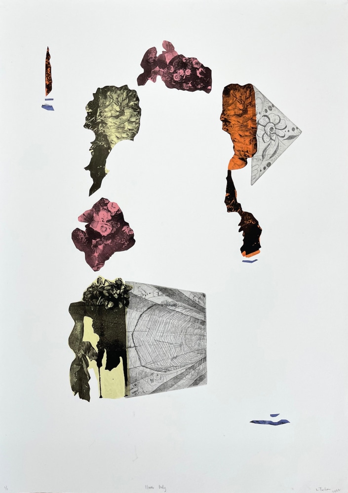 Flower Body, 2022

Intaglio, Chine coll&amp;eacute;, and pronto plate print on Hahnem&amp;uuml;hle paper

29.25h x 20.75w in

Edition 1/1