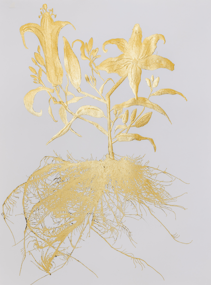 Gilded Lily 03, 2023

Gold leaf on paper

30h x 22w in