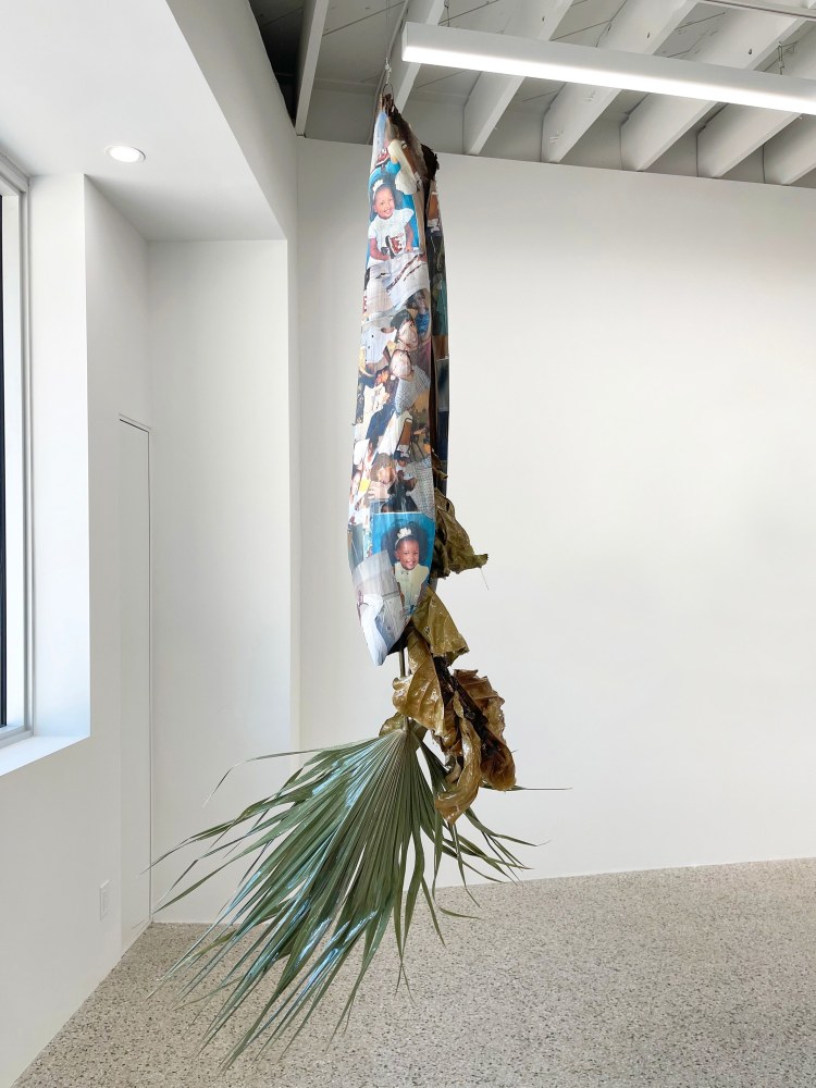 Amaya Estrada

You are not deserving (Bomba), 2024

Dried fiddle-leaf fig, cabbage palm, palm husk, resin, and fishing wire

112h x 37.50w x 7d in