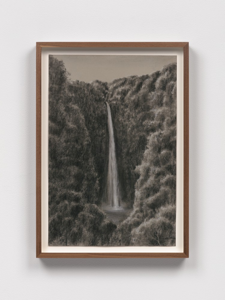 Work on paper a waterfall by Tomás Sánchez