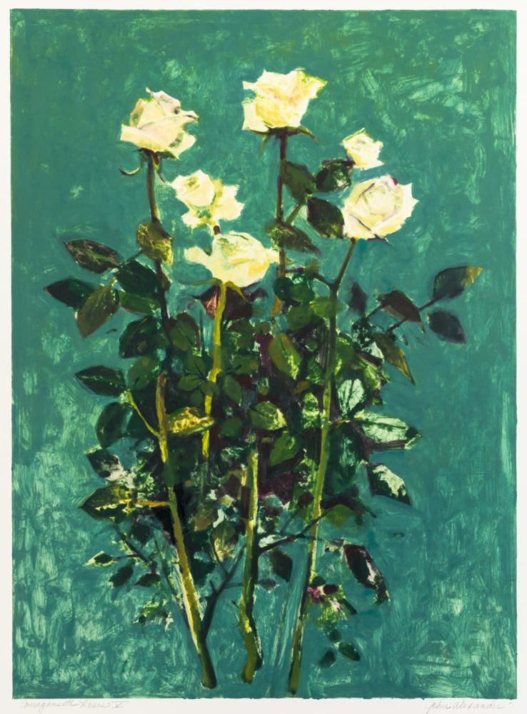 John Alexander
Amagansett Roses, 1999
monoprint from a series of V
38 1/2 x 29 1/2 in. / 97.8 x 74.9 cm
