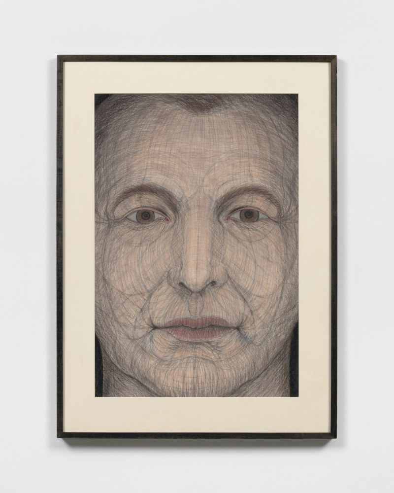 John Davies

Face (C.H.), 1986

pastel, crayon, and pencil

35 3/4 x 24 1/8 in. / 90.8 x 61.3 cm