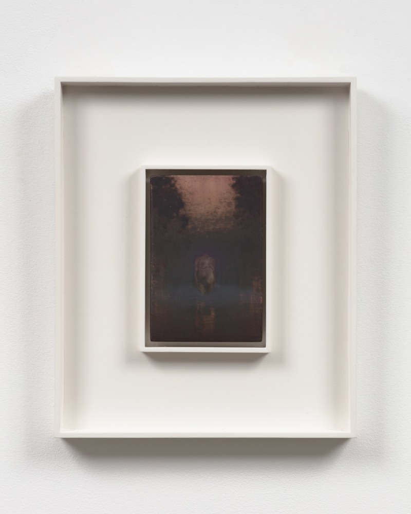 Lady of Shalott, Early Dawn (Mass MoCA #328-B), 2015
polished mixed media on panel
7 1/8 x 5 in. / 18.1 x 12.7 cm

framed: 15 3/4 x 13 1/4 x 1 1/2 in. /&amp;nbsp;40 x 33.7 x 3.8 cm