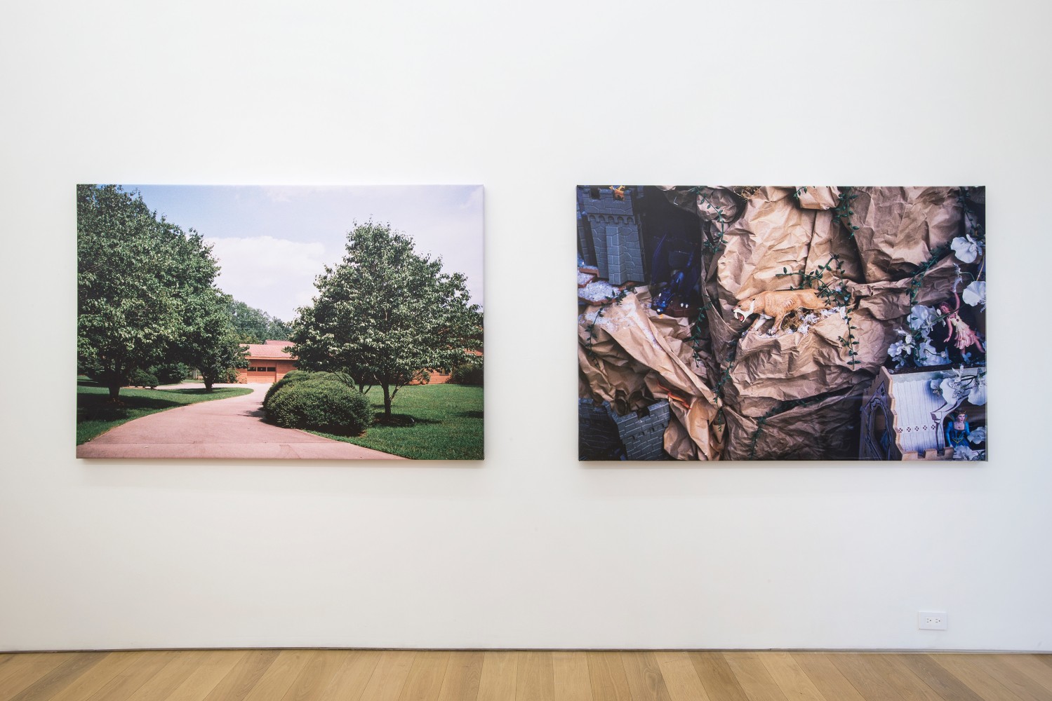 Installation View. Photo: Bill Orcutt.