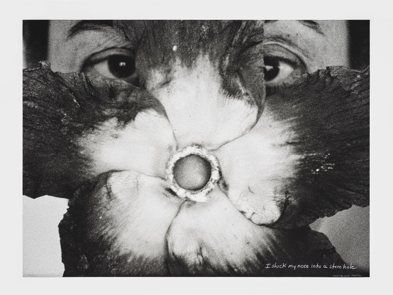 I Stuck My Nose Into A Stem Hole, c. 1994
inkjet print on rag paper, ed. of 5 + 2AP

30&amp;nbsp;&amp;times; 40 in. / 76.2&amp;nbsp;&amp;times; 101.6 cm