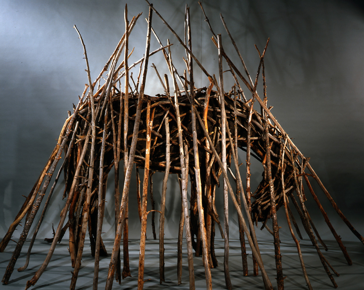 Sculpture of a standing horse made out of mud, sticks, and steel surrounded by twigs by Deborah Butterfield