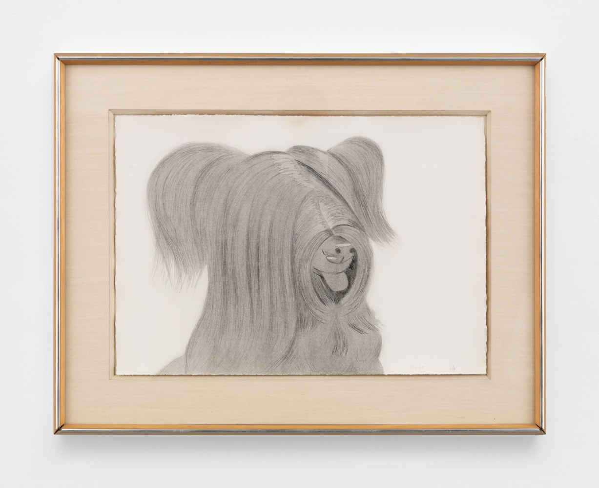 Sunny, 1974

aquatint and drypoint, edition of 52

15 x 22 3/8 in. / 38.1 x 56.8 cm
