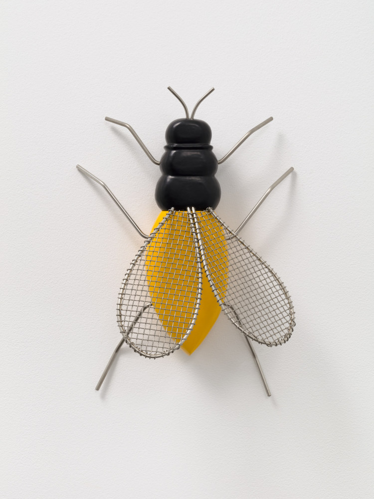 Mosca, 2007

bronze and stainless steel

15 x 11 1/2 x 5 in. / 38.1 x 29.2 x 12.7 cm