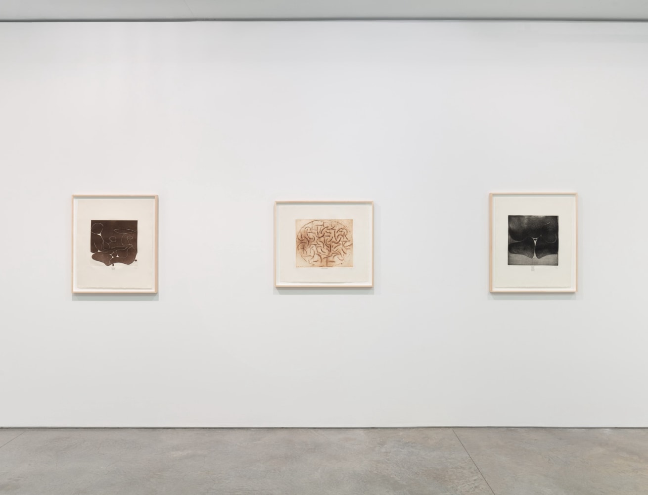 Installation Image of Victor Pasmore: Lyical (Virtual)