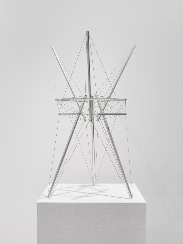 Tall Star, 1979

aluminum and stainless-steel cable, edition of 6

27 3/4 x 19 1/2 x 18 in. / 70.5 x 49.5 x 45.7 cm