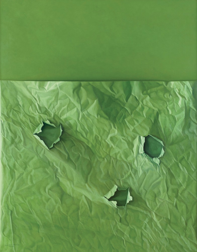 Claudio Bravo
Green Paper on Green Background, 2007

oil on canvas

57 1/2 x 44 7/8 in. / 146.1 x 114 cm