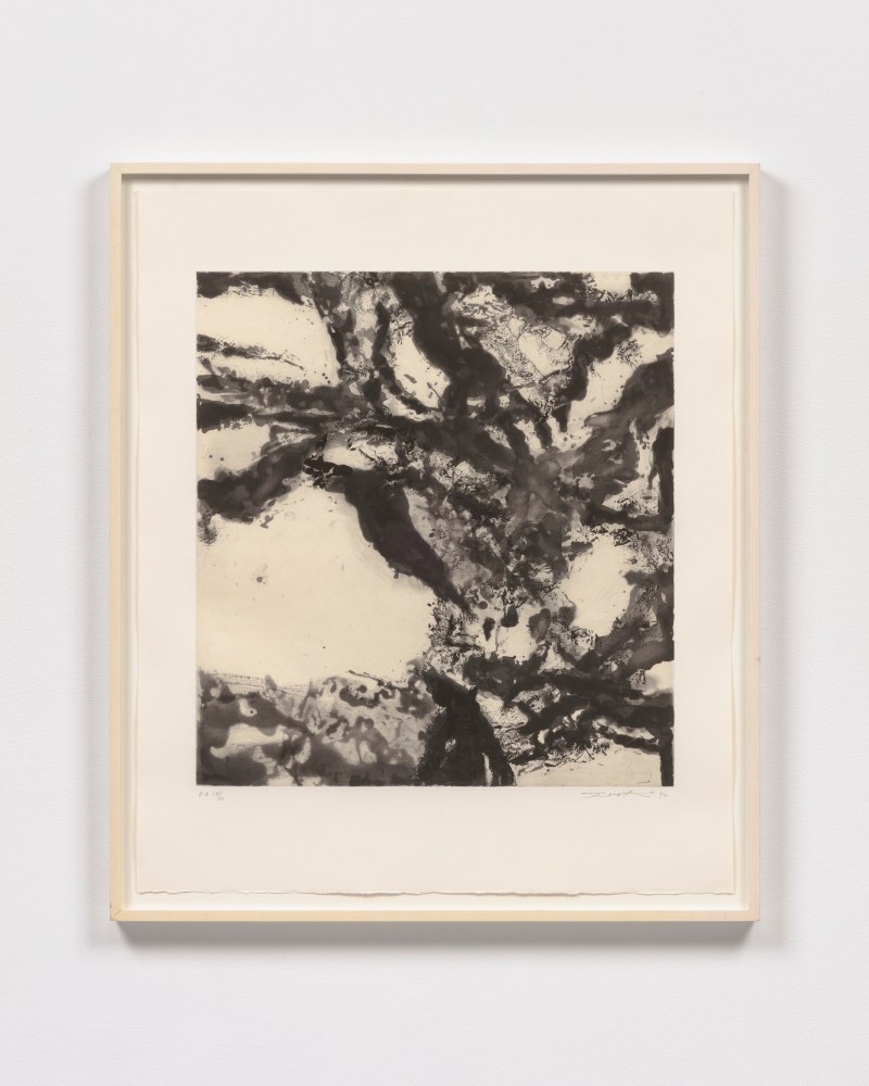 Untitled, 1992

etching with aquatint, edition of 75 + 30 AP

31 3/4 x 26 3/4 in. / 80.6 x 67.9 cm