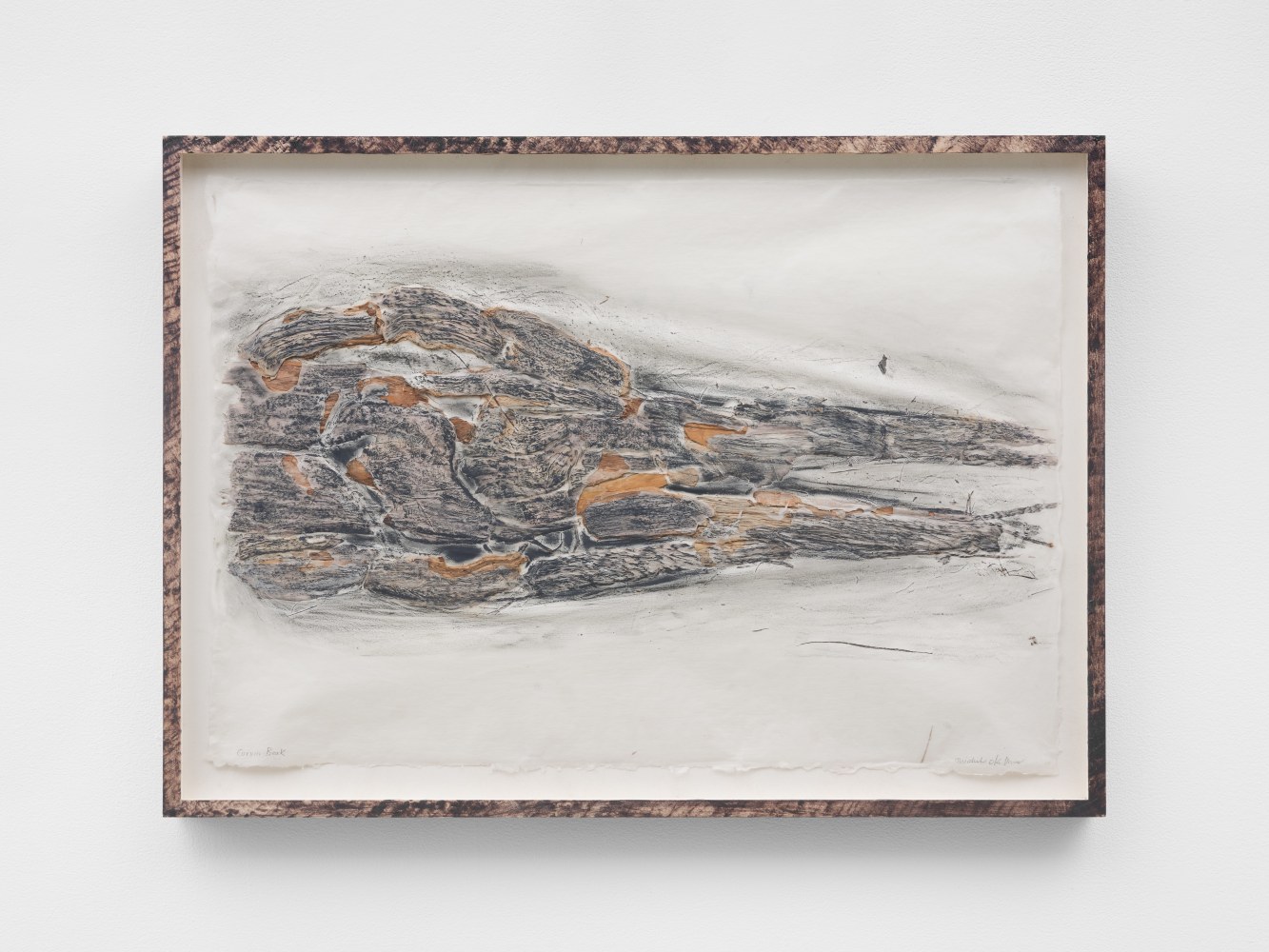 Michele Oka Doner

Corvin Beak, 2013/2020
organic material, charcoal cont&amp;eacute;, and abaca paper in artist&amp;rsquo;s frame

image: 25 &amp;times; 36 in. / 63.5 &amp;times; 91.4 cm

framed: 28 3/4 &amp;times; 39 1/2 in. / 73 &amp;times; 100.3 cm&amp;nbsp;