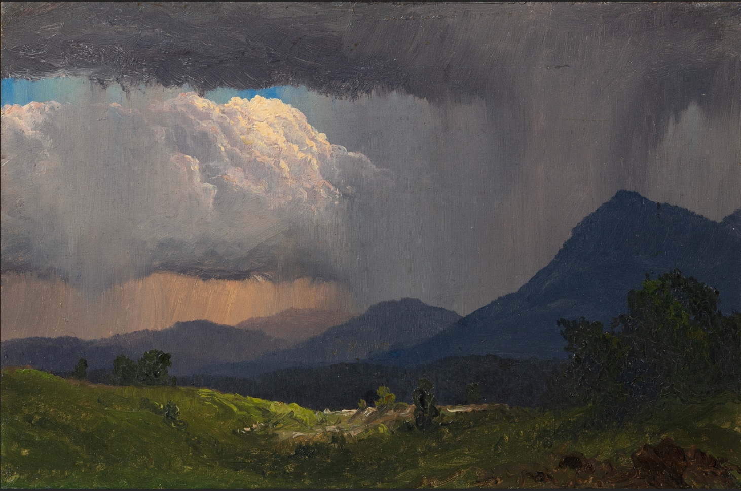 Frederic Edwin Church

Mountainside Downpour

1871

oil on paper laid down on canvas

6 1/2 x 10 inches (16.5 x 25.4 cm)

inscribed Aug. 21 - 1871 (verso)&amp;nbsp;