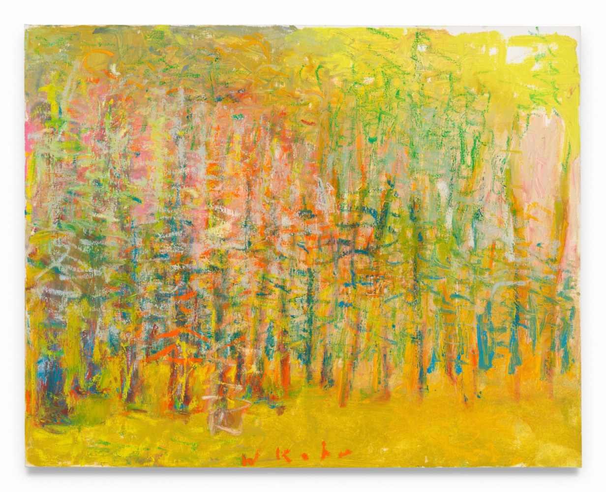 Wolf Kahn

Yellow Woods, 2018

Oil on canvas

22h x 28w in

&amp;nbsp;