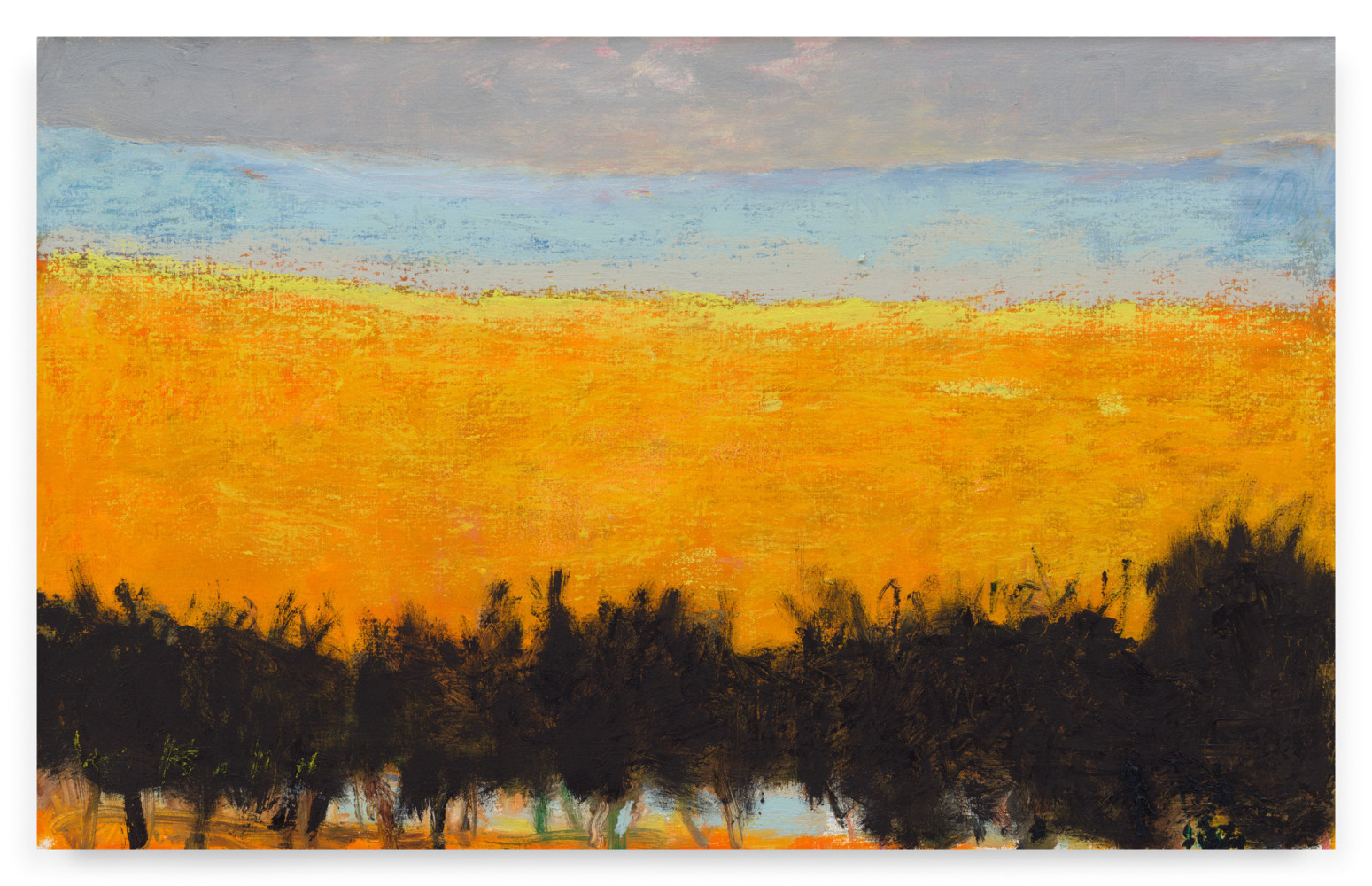 Wolf Kahn

Warm Yellow, 2013

Oil on canvas

20h x 32w in

&amp;nbsp;