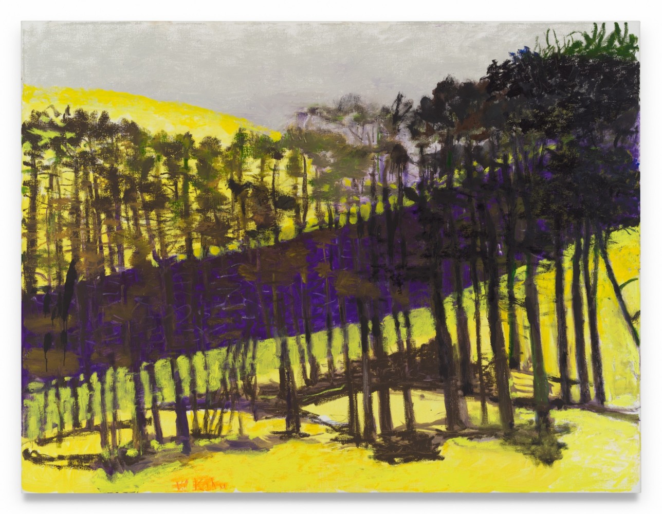 Wolf Kahn

Slope, 2015

Oil on canvas

52h x 68w in

WK034