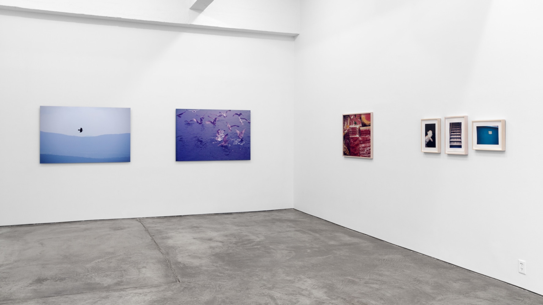 Installation view, Sophie Calle, Hans Haacke, Robert Grosvenor, Robert Gober, Christian Marclay, Carey Young, Photographs, March 26 – April 23, 2016