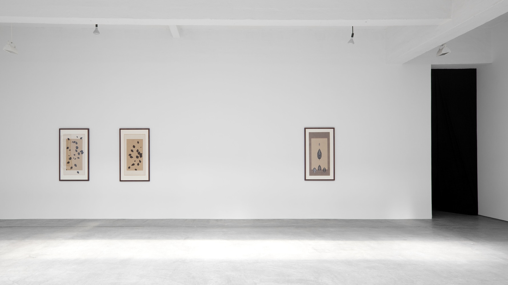 Installation view, Bruce Conner, Falling Leaves: An Anonymous Memorial, August 30 – September 24, 2011
