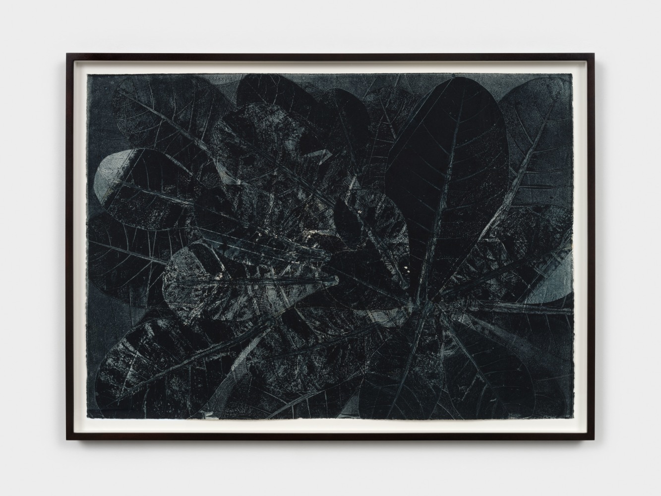 Terry Adkins Botanical Print 278, 2005 unique collagraph 29 5/8 x 41 5/8 in. (75.2 x 105.7 cm) frame: 32 3/4 x 44 3/4 x 1 7/8 in. (83.2 x 113.7 x 4.8 cm)