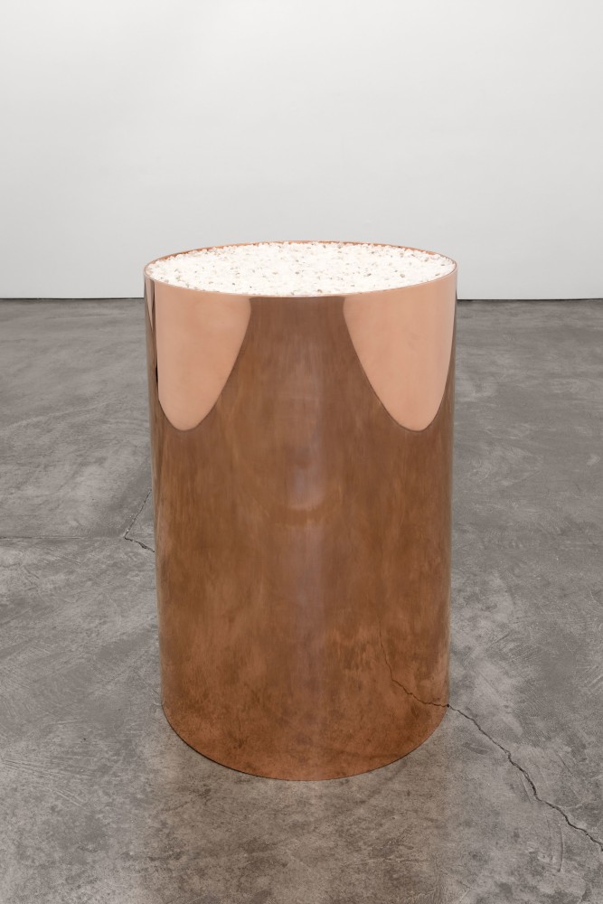 Meg Webster, Copper Containing Salt II, 2017, copper, acrylic, silicone, salt