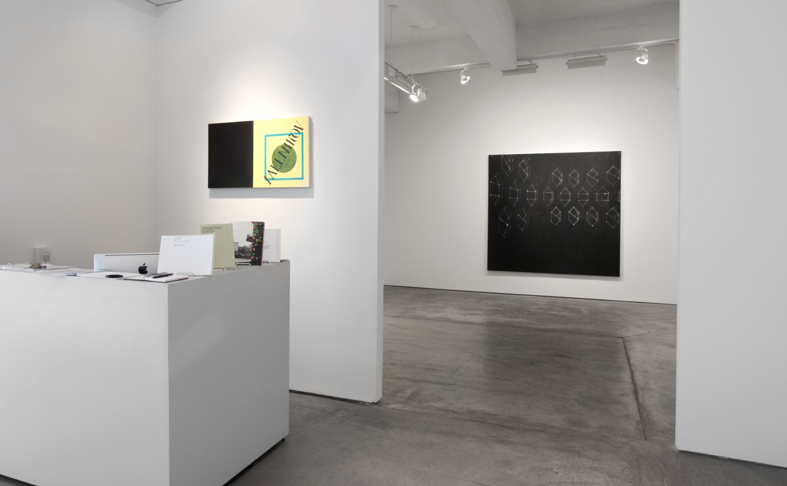 Installation view, Walid Raad and David Diao, September 22 – November 3, 2012