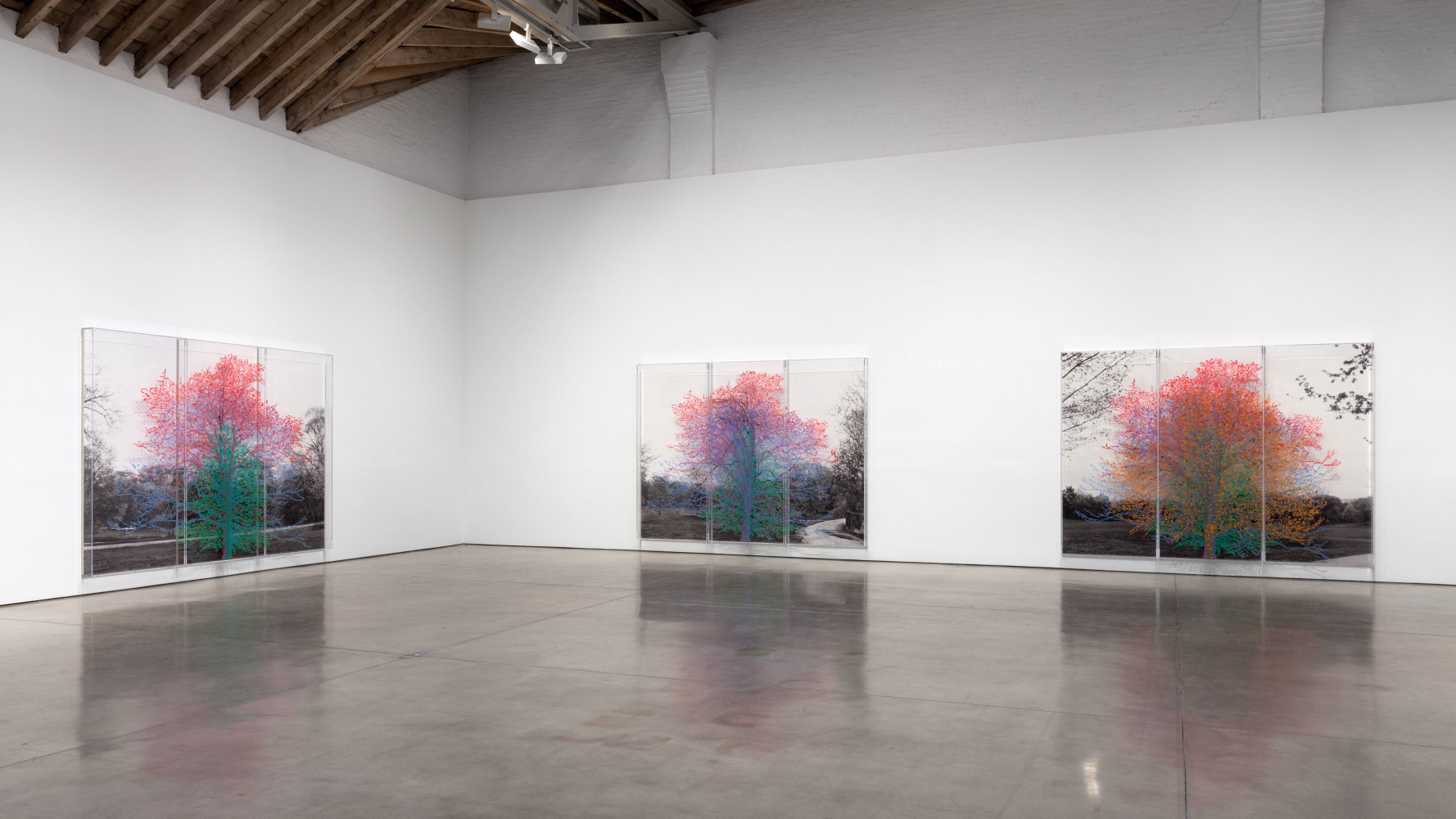Installation view, Charles Gaines, March 31 – April 30, 2016