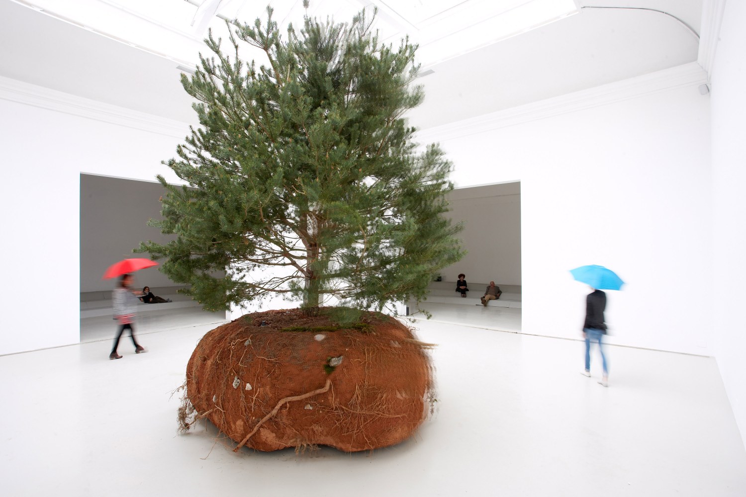 C&amp;eacute;leste Boursier-Mougenot
transHumUs, 2015
scotch pine, earth ball (soil, clay, natural aggregate, roots, rocks), battery operated mobile platform, Ubisense positioning system, LAAS-CNRS software program&amp;nbsp;
tree: approx. 177.17 x 149.61 x 149.61 in. (450 x 380 x 380 cm)
base: approx. 31.5 x 66.93 x 66.93 in. (80 x 170 x 170 cm)
weight: approx. 4.5 tons