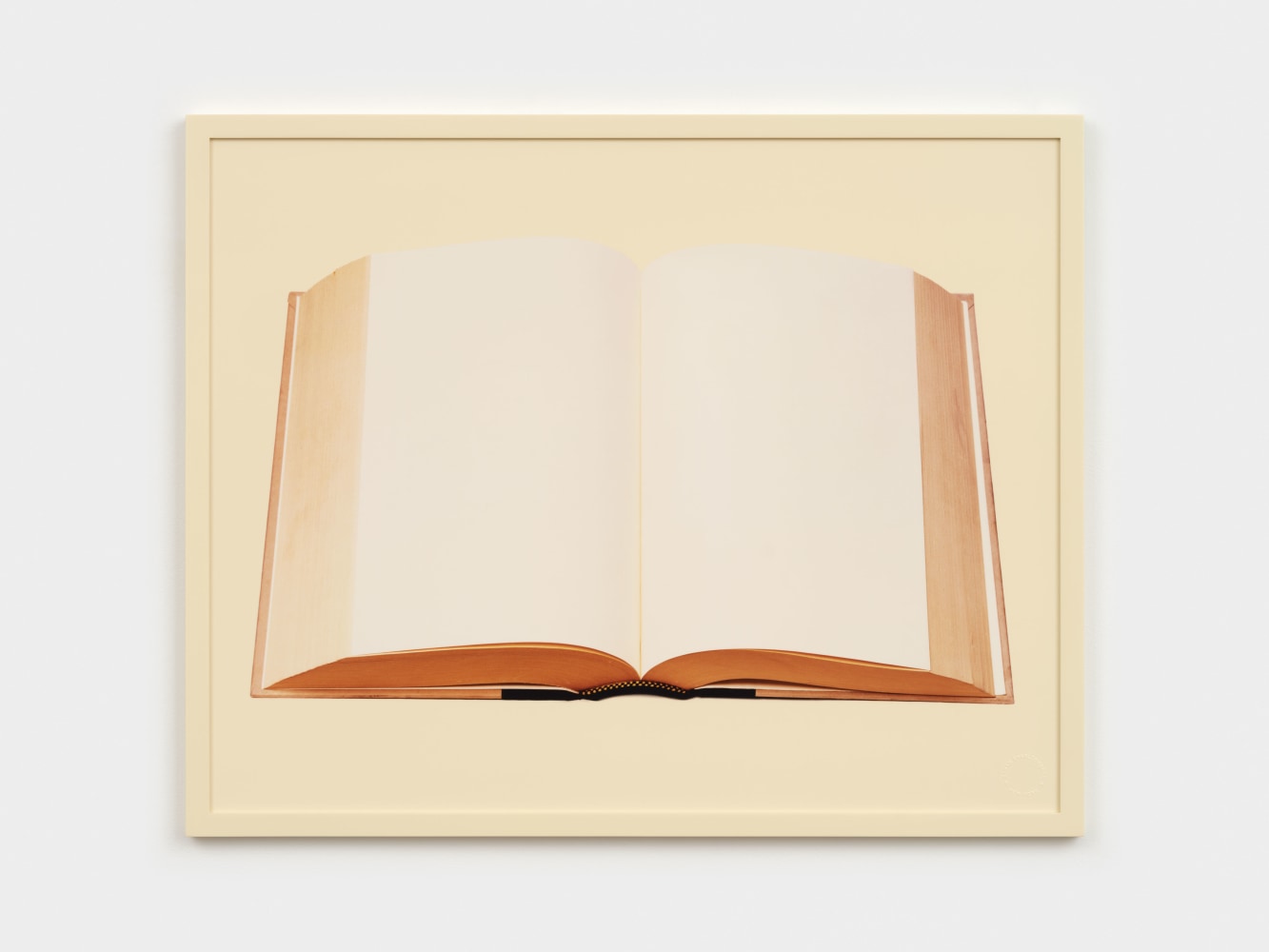 Sarah Charlesworth Book, 2002 Fujiflex Crystal Archive print with lacquered wood frame 22 5/8 x 28 1/8 x 3/4 in. (57.5 x 71.4 x 1.9 cm)