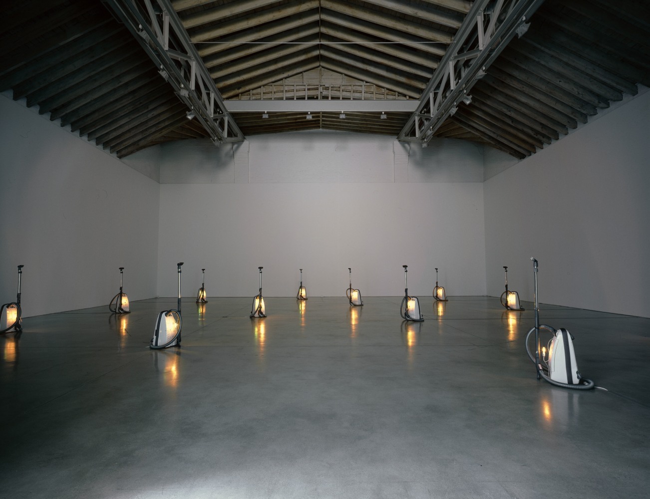 Installation view, harmonichaos, Paula Cooper Galler, 534 W 21st Street, New York. September 9 - October 14, 2006. © Céleste Boursier-Mougenot / ADAGP, Paris. Courtesy Paula Cooper Gallery, New York. Photo: Jeffrey Price.
