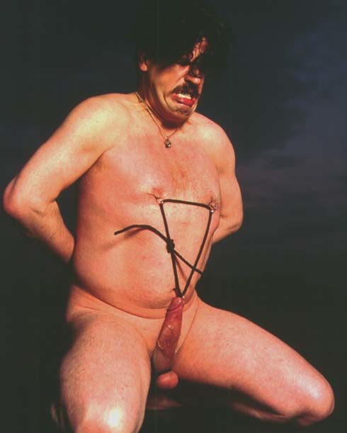 Andres Serrano "A History of Sex (Master of Pain)" 1996 Cibachrome, silicone, plexiglass, wood frame 60" x 49 1/2"