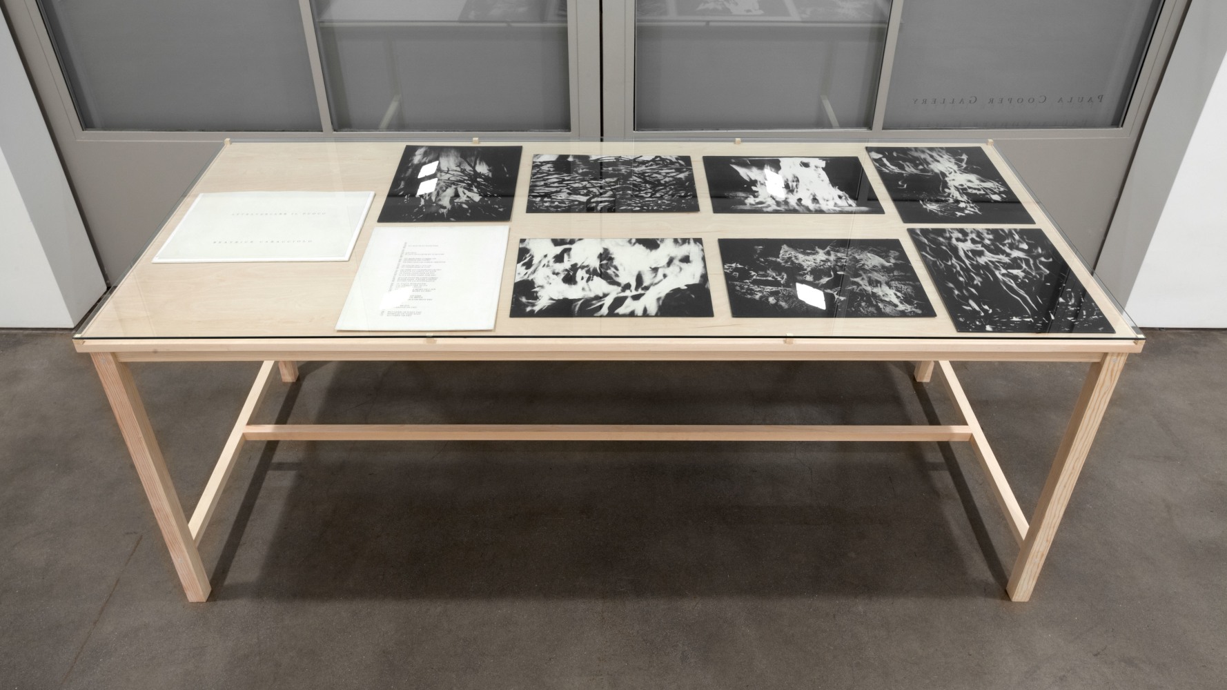Beatrice Caracciolo: Battaglia, Paula Cooper Gallery, New York, NY, February 16 – March 23, 2013.