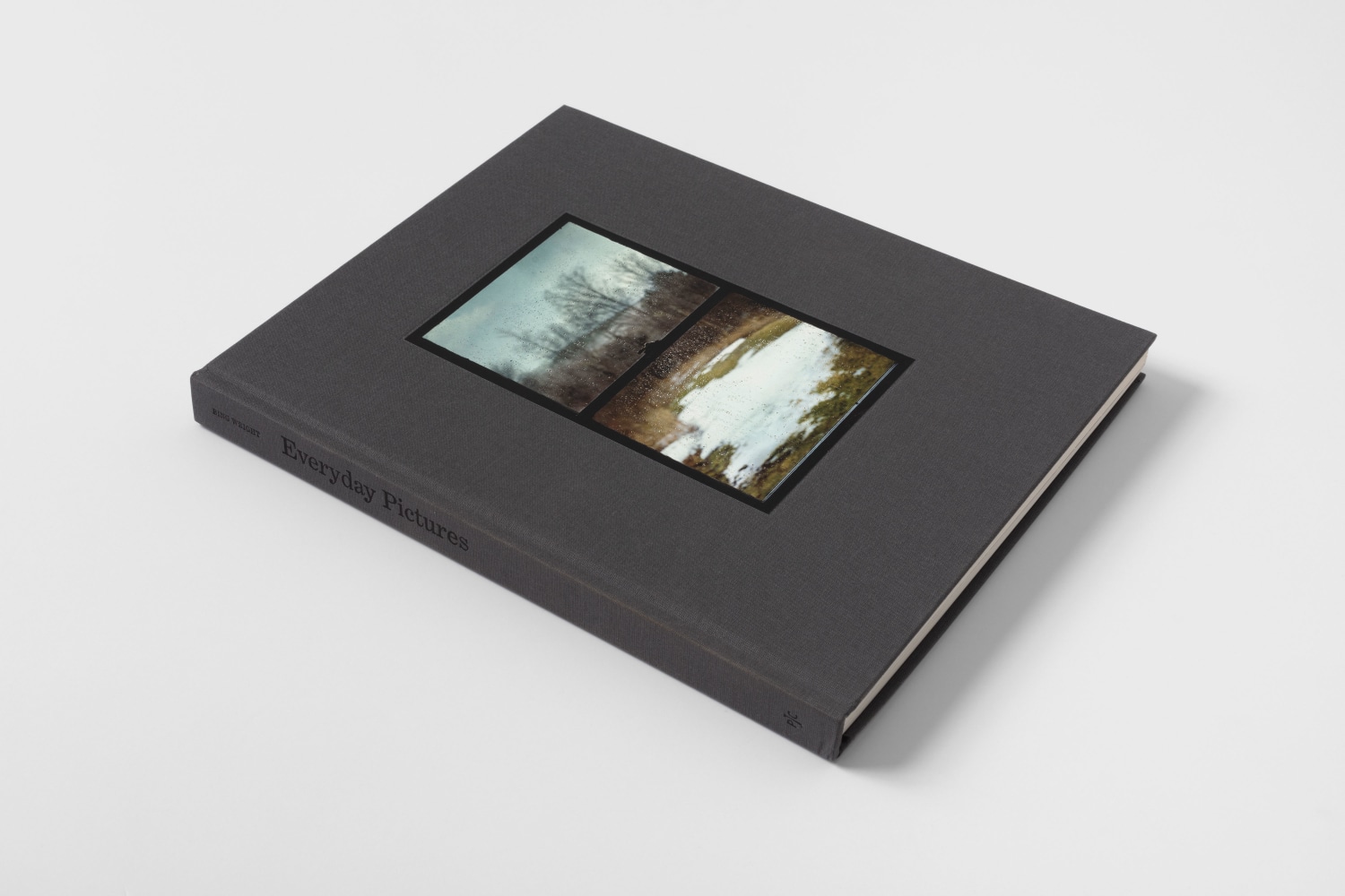 Bing Wright Everyday Pictures 7