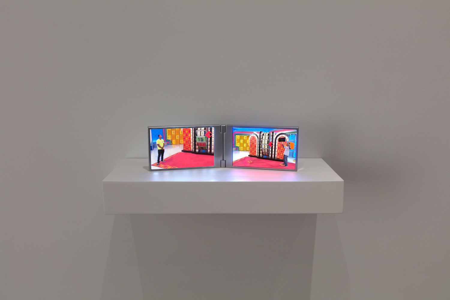 Installation view, Céleste Boursier-Mougenot, Liz Glynn, Robert Grosvenor, Justin Matherly, Paul Pfeiffer, April 4 – May 4, 2019