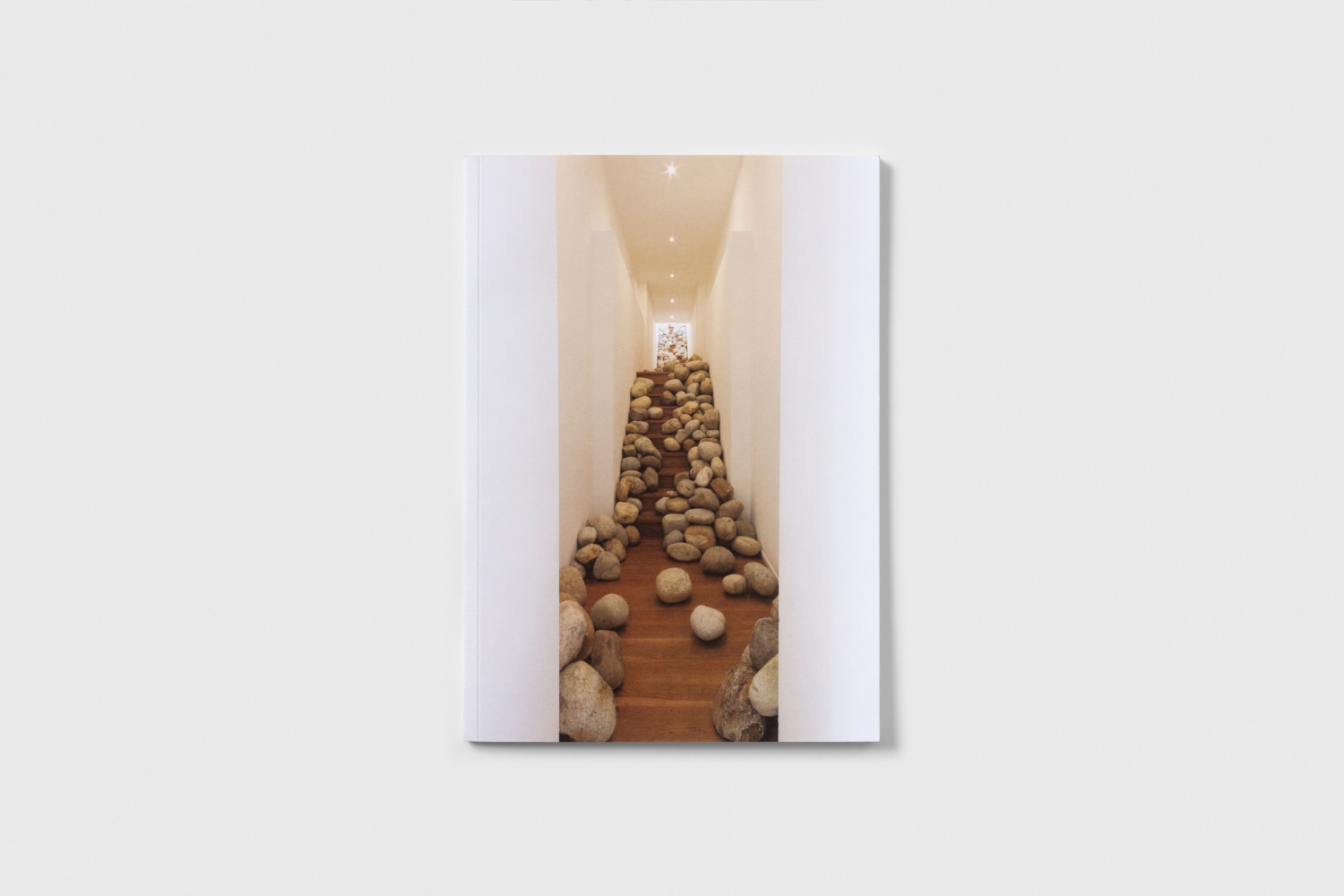 Celeste Boursier-Mougenot UMASS Cover