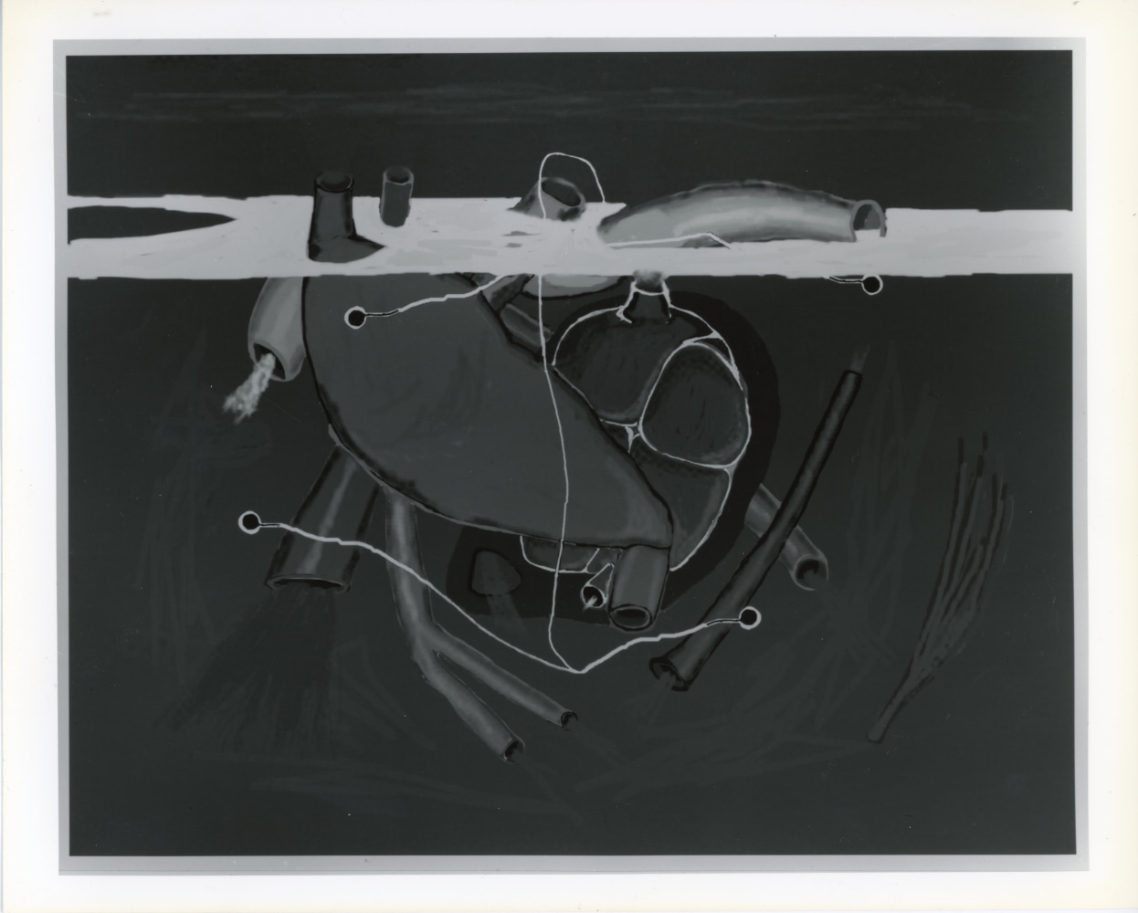 Peter Campus &quot;I forget these aches&quot; 1989 Computer drawing on photographic paper 20&quot; x 24&quot; edition 1/6