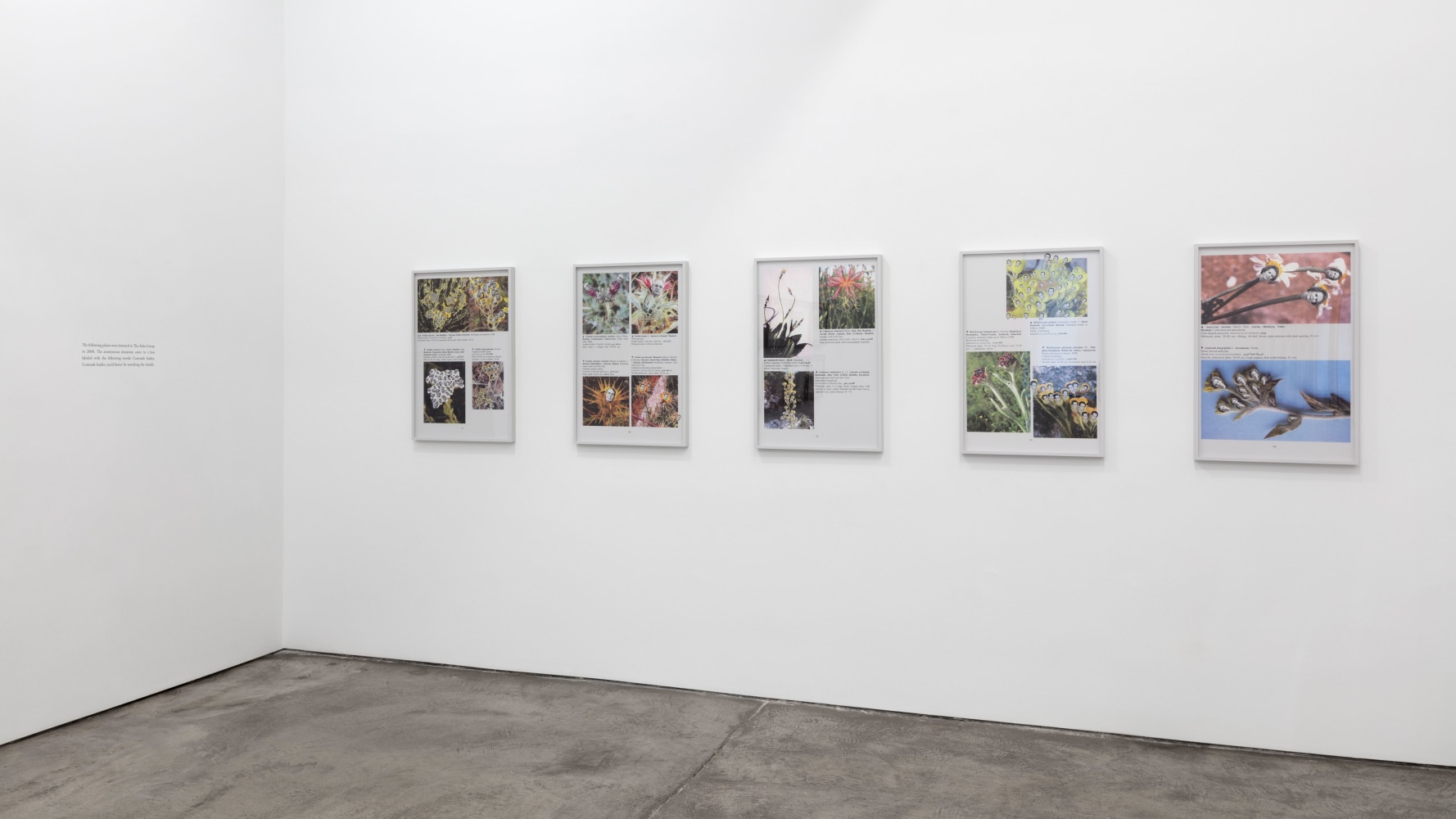 Installation view, Walid Raad, Better be watching the clouds, May 19 – July 14, 2017