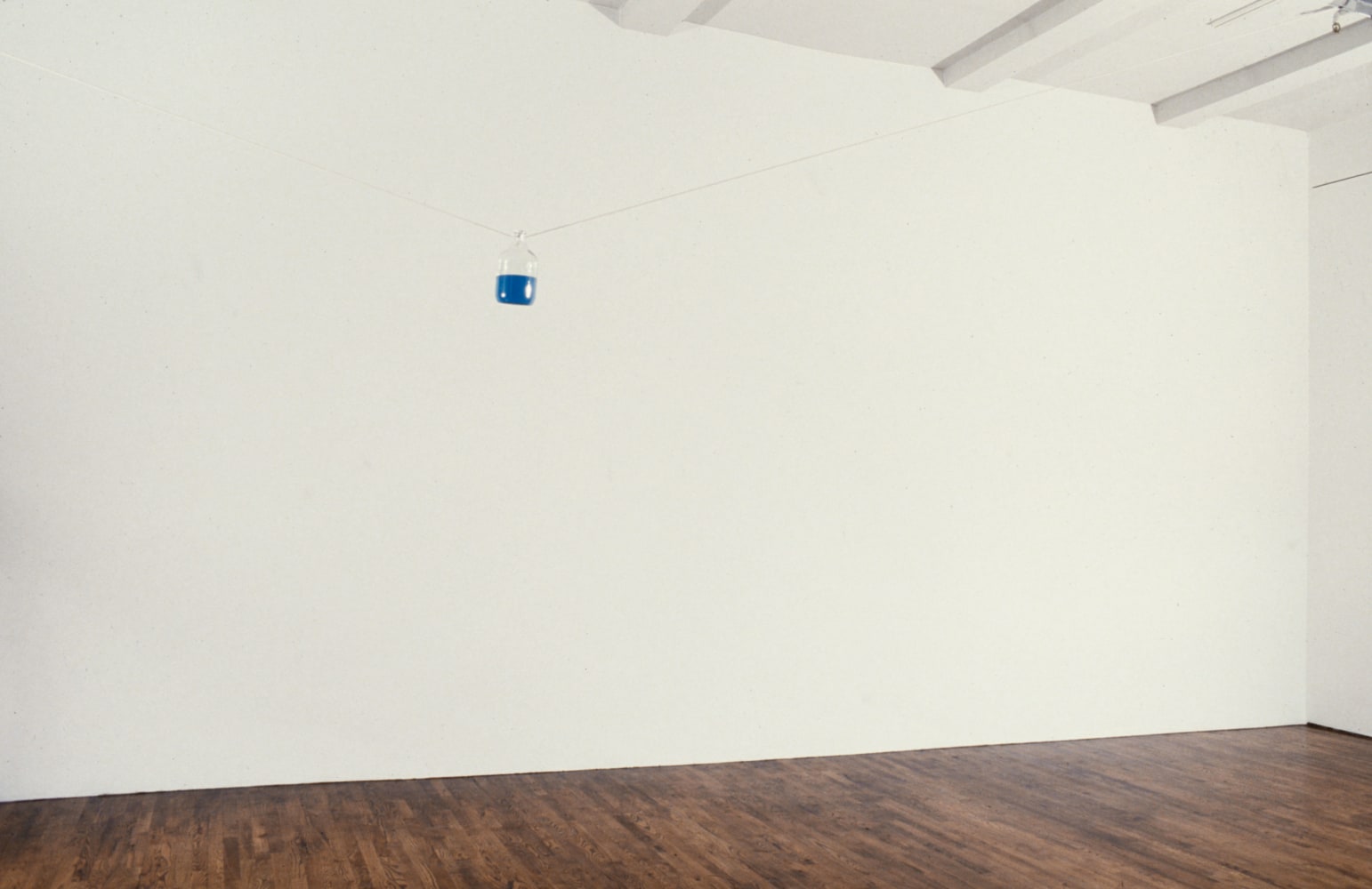 Patina Du Prey, Tony Feher, Maxine Henryson, Warren Kloner, Siobhan Liddell, James Sadek