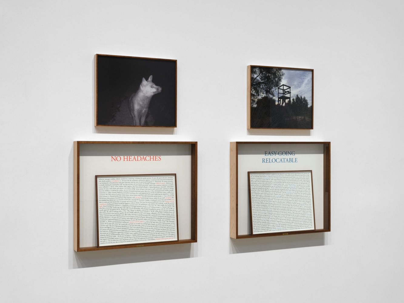 Installation view, Sophie Calle: On the Hunt, Paula Cooper Gallery, New York, September 5 – October 18, 2025. © 2025 Sophie Calle / Artists Rights Society (ARS), New York / ADAGP, Paris. Courtesy of Sophie Calle and Paula Cooper Gallery, New York. Photo: Steven Probert