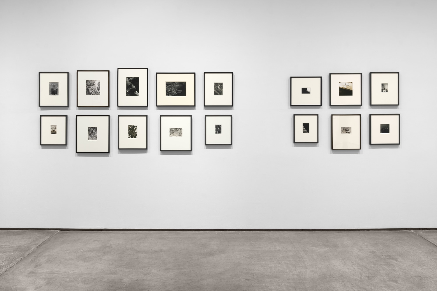 Installation view, Inventing Objects: Jay DeFeo’s Photographic Work, Paula Cooper Gallery, New York, September 9 – October 28, 2023.  © 2023 The Jay DeFeo Foundation/Artists Rights Society (ARS), New York. Photo: Steven Probert.