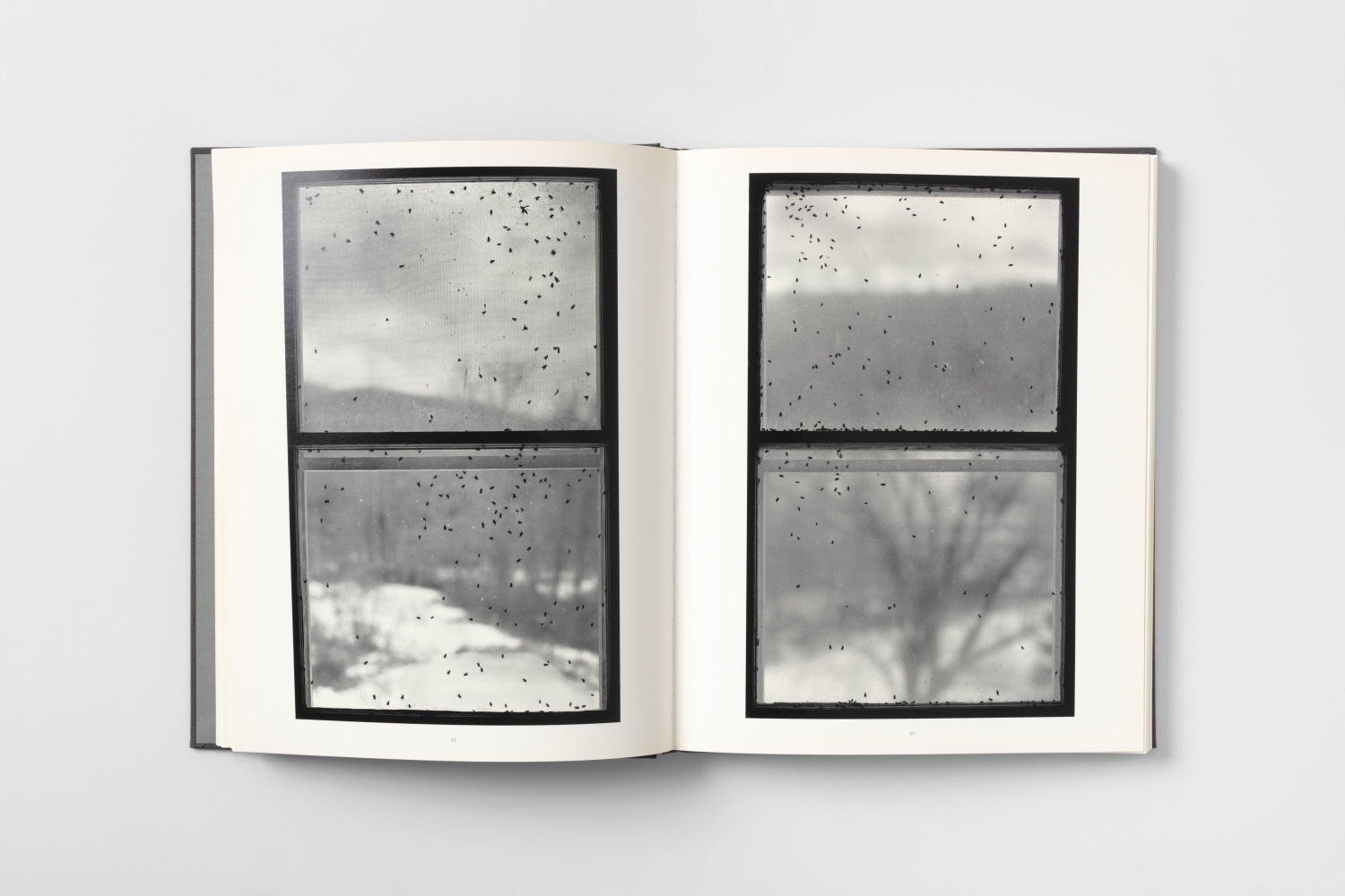 Bing Wright Everyday Pictures 4