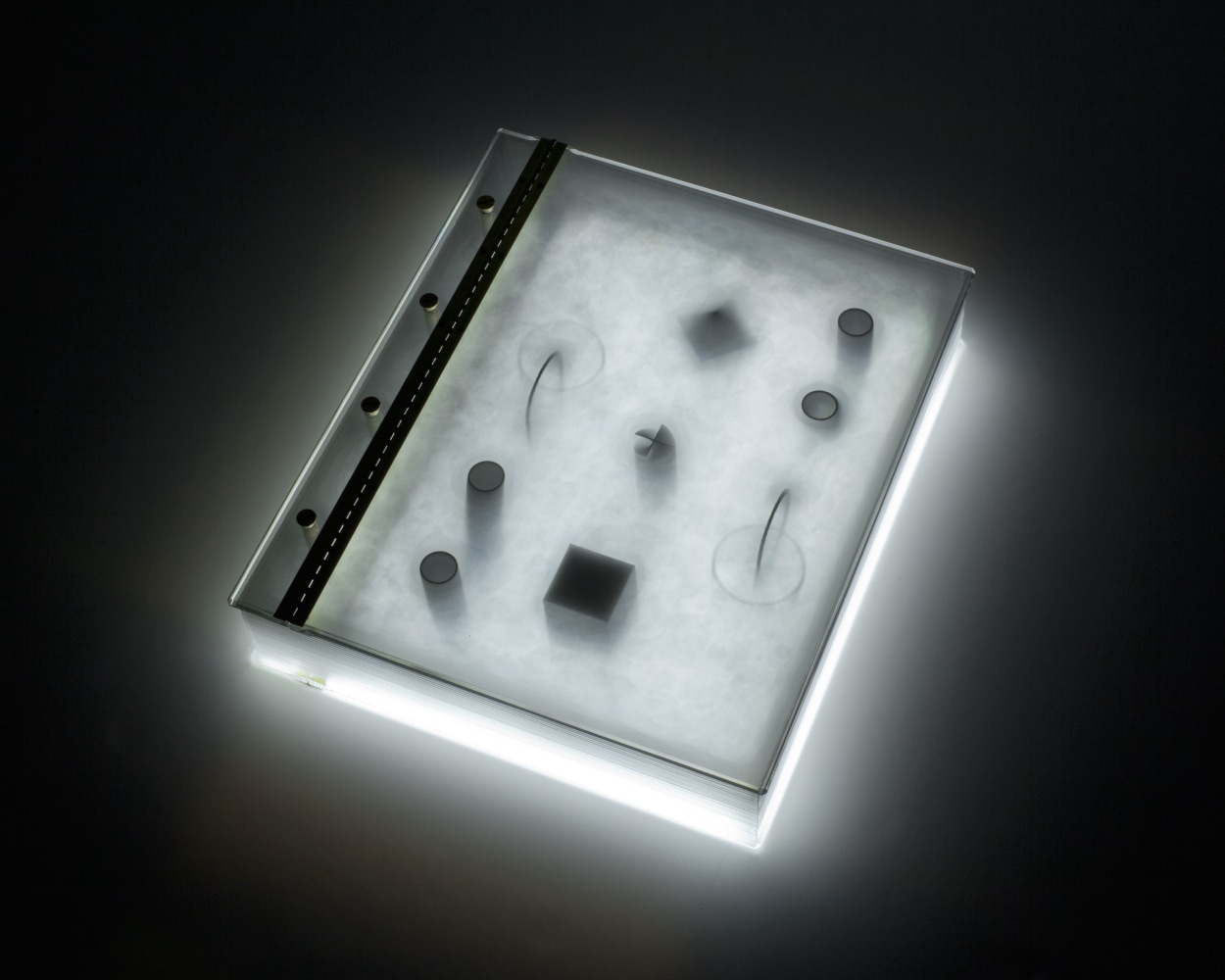 Tauba Auerbach
Float, 2011
UV cured ink on 0.4mm polycarbonate with acrylic, brass
closed: 12 1/4 x 10 1/4 x 2 1/2 in. (31.1 x 26 x 6.4 cm)
Edition 8 of 8, + 2 APs