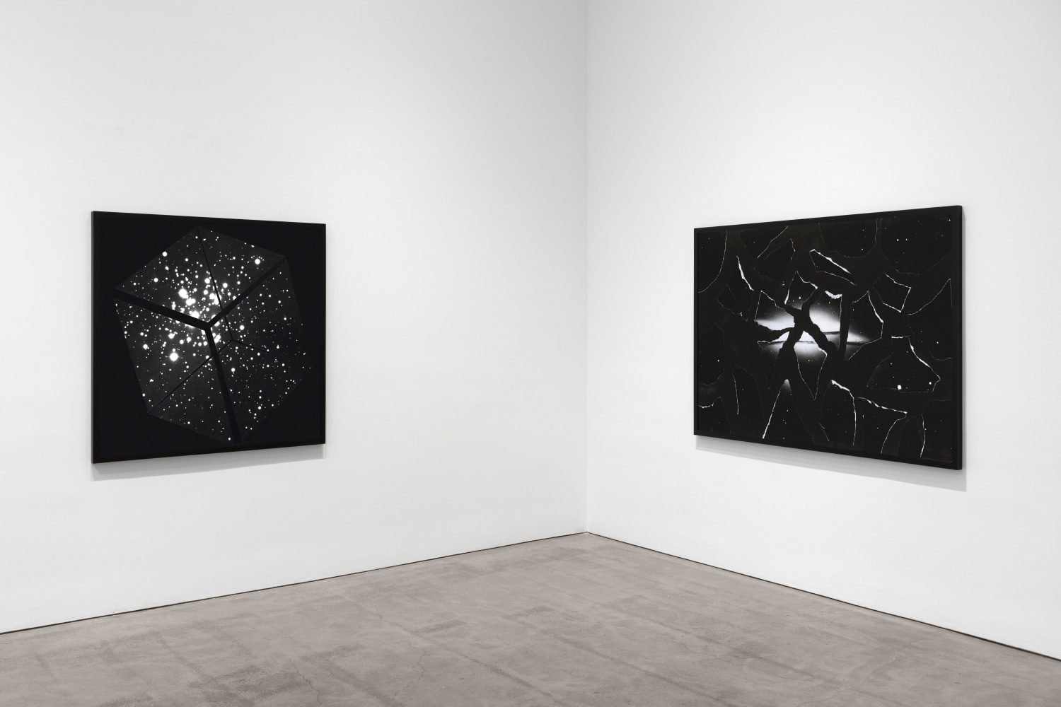 Installation view, Sarah Charlesworth, February 23 – March 23, 2019