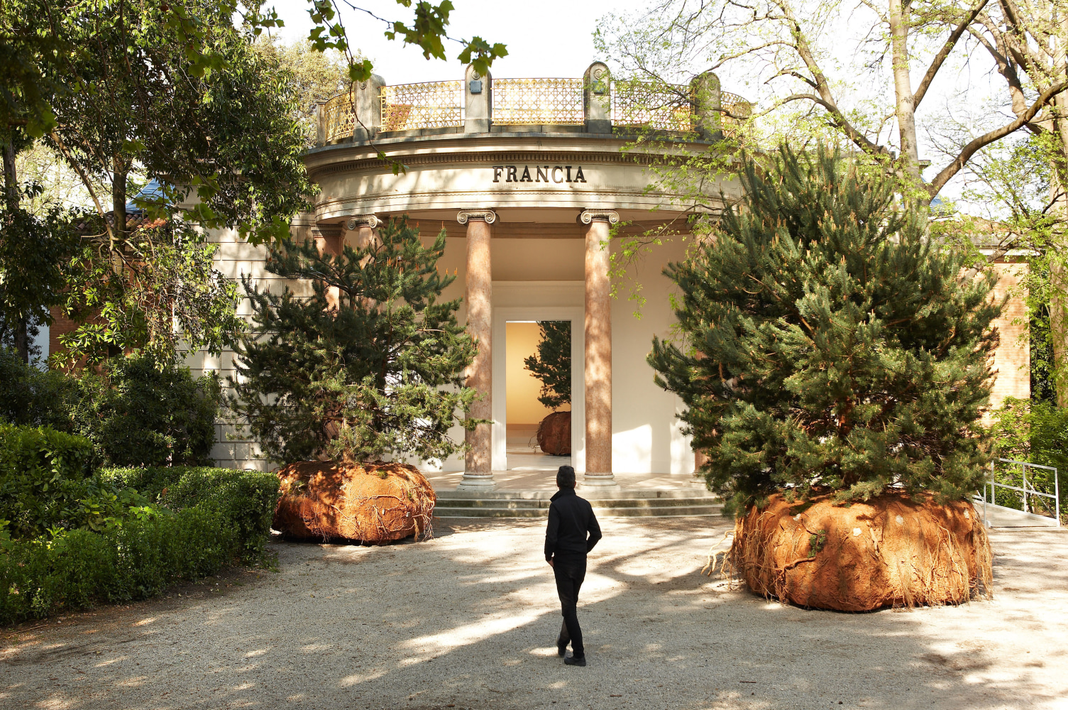 Céleste Boursier-Mougenot transHumUs, 2015 scotch pine, earth ball (soil, clay, natural aggregate, roots, rocks), battery operated mobile platform, Ubisense positioning system, LAAS-CNRS software program  tree: approx. 177.17 x 149.61 x 149.61 in. (450 x 380 x 380 cm) base: approx. 31.5 x 66.93 x 66.93 in. (80 x 170 x 170 cm) weight: approx. 4.5 tons