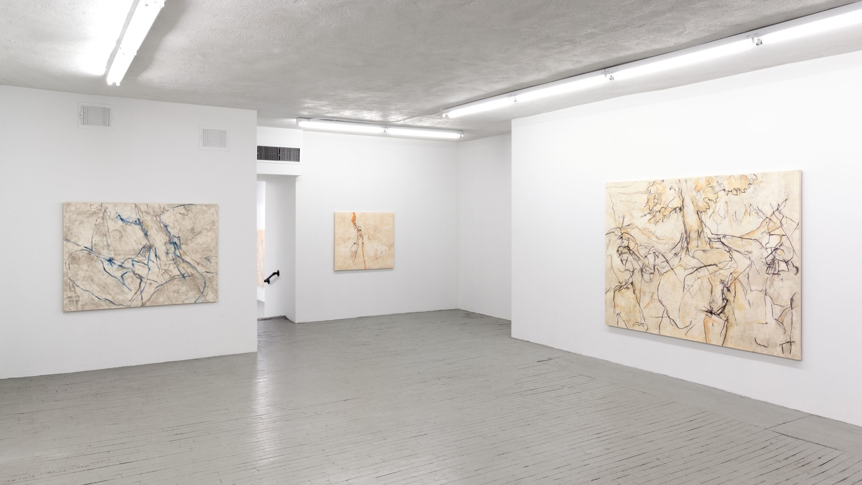 Installation view, Beatrice Caracciolo, Cinabrese, March 8 – April 5, 2014