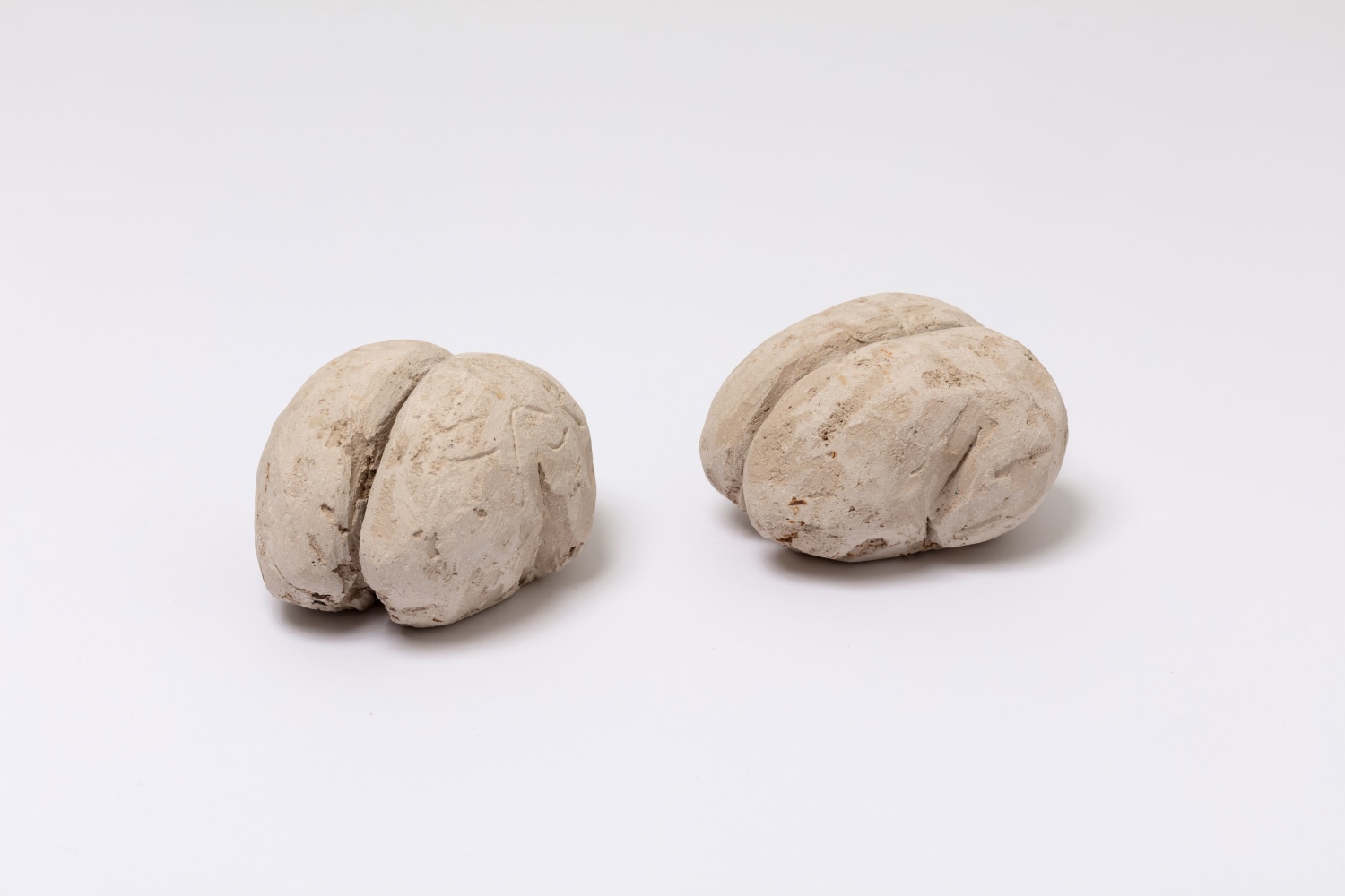 Untitled (Pair of Brains), 1982 plaster and wire lath 1 @ 3 1/2 x 6 1/4 inches (8.9 x 15.9 cm) 1 @ 4 x 6 1/2 inches (10.2 x 16.5 cm)