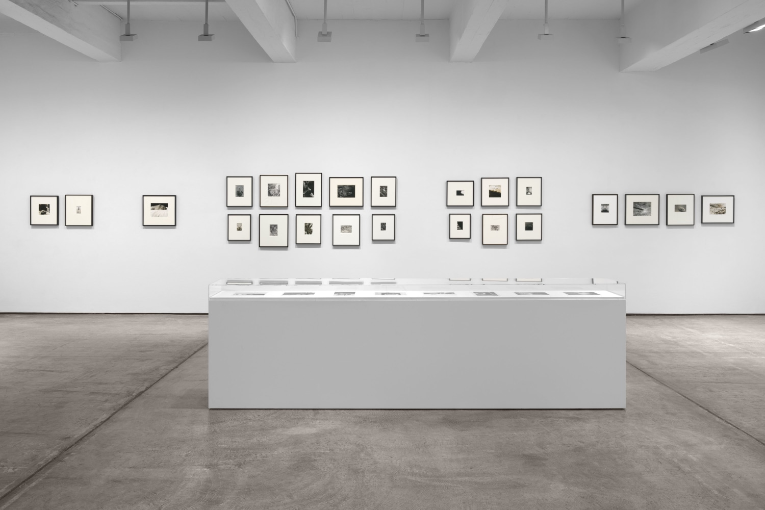Installation view, Inventing Objects: Jay DeFeo’s Photographic Work, Paula Cooper Gallery, New York, September 9 – October 28, 2023.  © 2023 The Jay DeFeo Foundation/Artists Rights Society (ARS), New York. Photo: Steven Probert.