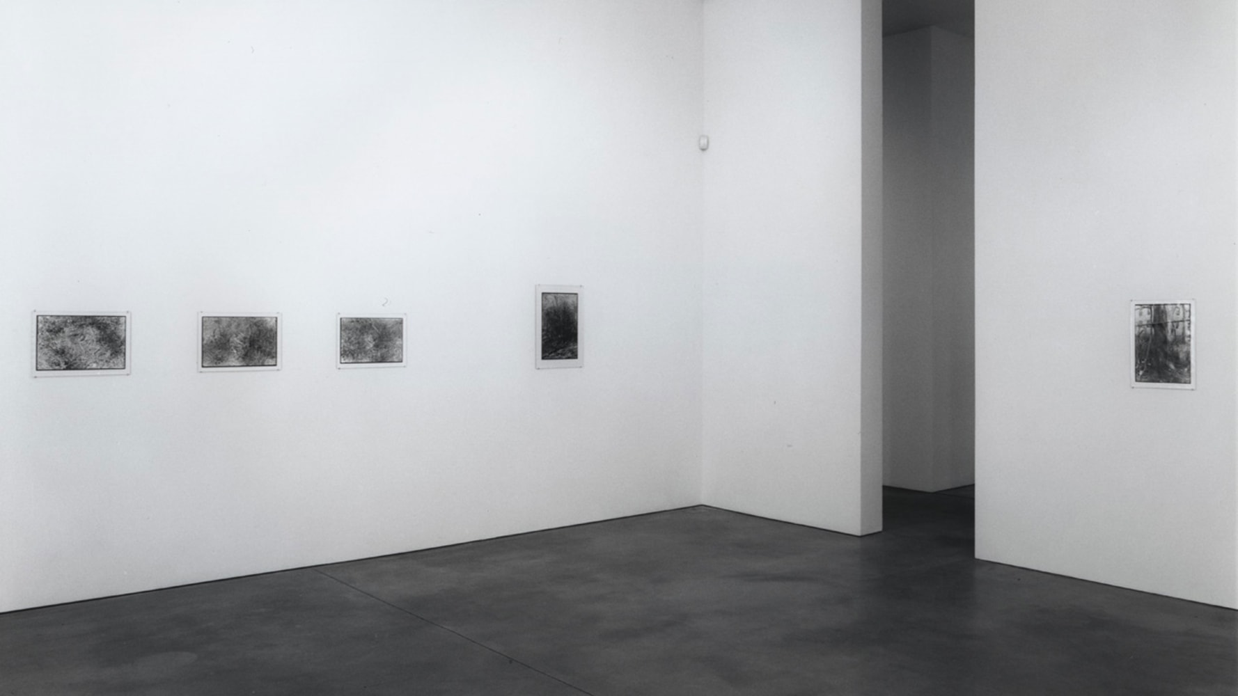 Installation view, Recent Photographs, Paula Cooper Gallery, 534 W 21st Street, New York. © Zoe Leonard. Courtesy Paula Cooper Gallery, New York. Photo: Dorothy Zeidman.