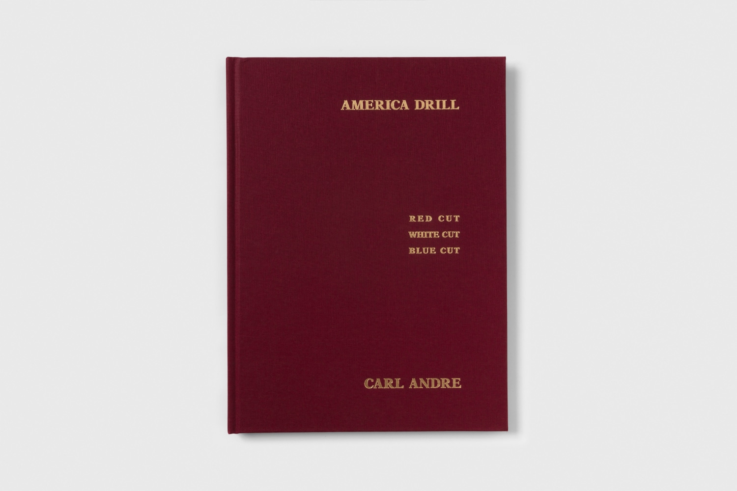 Carl Andre America Drill 2